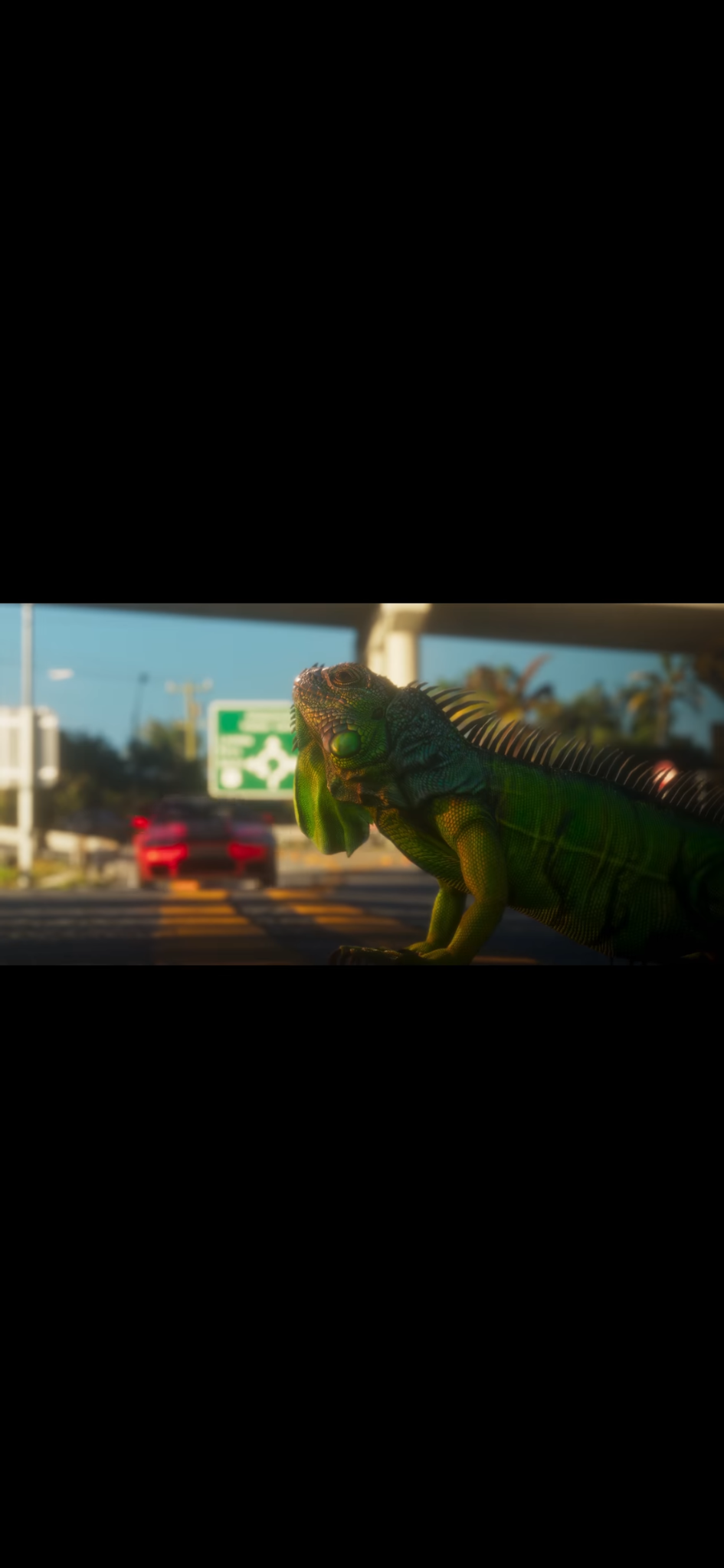 The original iguana with its chin raised and mouth closed beside a road.